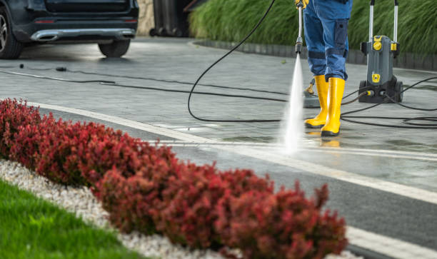 Best Dumpster Area Cleaning  in Arvin, CA